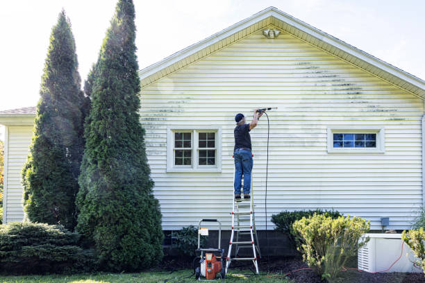 Professional Pressure washing in Mcmechen, WV